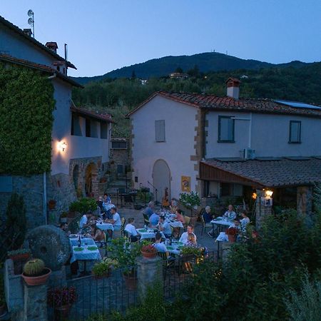 Agriturismo Borgo Mocale Castelfranco di Sopra Exteriör bild